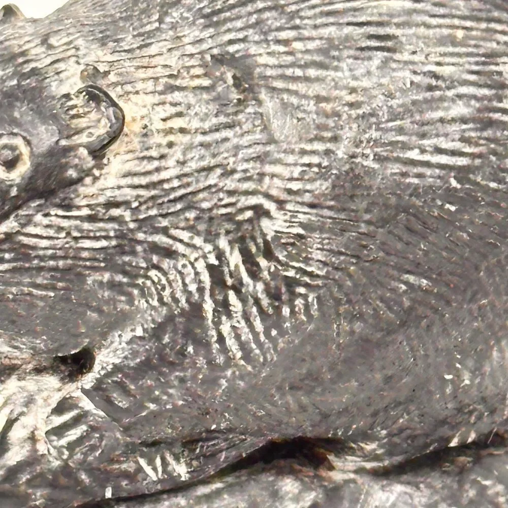 Vintage Wolf Original Beaver Figurine Canada Soapstone Style Art Sculpture